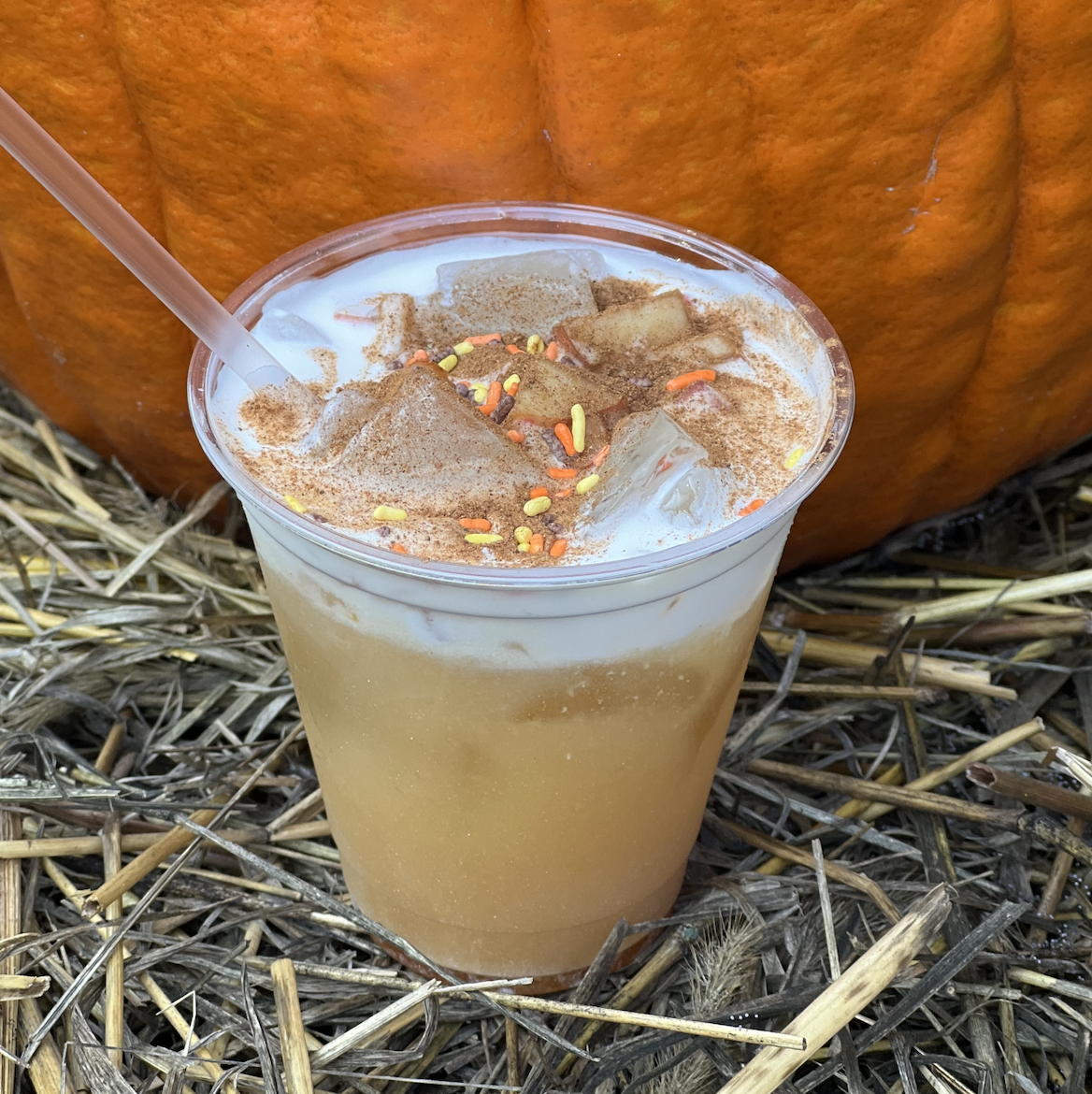 Sweet Potato Casserole Latte